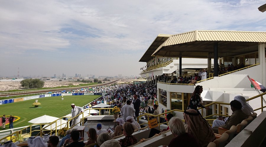 jebel ali racecourse&nbsp;dubai
