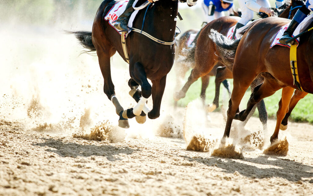 jebel ali horse racing&nbsp;tips