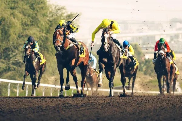 jebel ali race course road